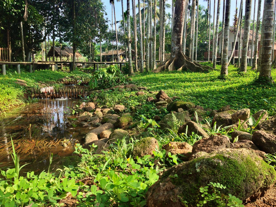 dam-chim-tuyet-doi-giua-trang-trai-lang-man-yen-binh-ben-vuon-rau-xanh-ngat_7b6e2203ab