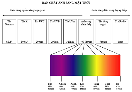 ban-chat-cua-anh-sang